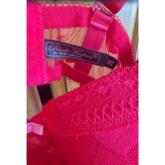 Black Fuchsia by Secret Lace LLC - Sheer Heart Mesh Bodysuit  Size 1X  New - Picture 6 of 7